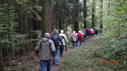 dsc07664_1 dsc07664_1