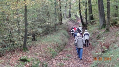 dsc07668_1 dsc07668_1