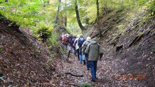 dsc07670_1 dsc07670_1