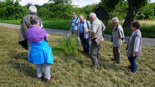 naturkundliche Frühwanderung naturkundliche Frühwanderung